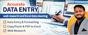 deliver high quality data entry with fast turnaround