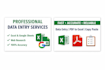 handle data entry and copy paste tasks professionally