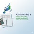 provide accounting and financial reporting services