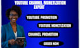 do organic youtube video promotion, channel monetization