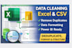 do data analysis excel clean duplicate format structure
