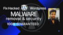 do wordpress malware removal and install security
