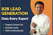 do b2b lead generation and data entry