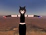 edit and upload your avatar to vrchat