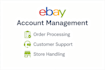manage your ebay account professionally