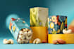 design can, bottle packaging, drink packaging
