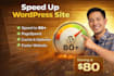 speed up your wordpress website for better performance