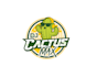 create graceful and fantastic cactus logo design