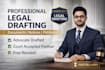 draft professional legal documents, notices and petition