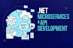 provide professional microservices and API development