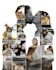 create custom double exposure collage from your  photos