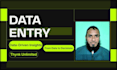 do profeional data entry expert