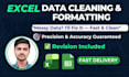 clean, format, marge and organize excel data professionally