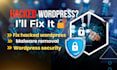 fix hacked wordpress, remove malware and blacklist