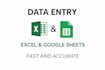 accurate data entry and excel or google sheets organization