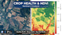 generate precision ndvi crop health and yield analysis using gee