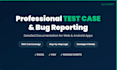 write professional test cases and a final bug report