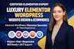 build a custom elementor wordpress website
