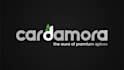 create create an advanced pro logo animation from scratch