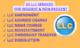 provide llc amendment and compliance services