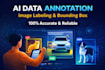 provide accurate ai data annotation and image labeling for training models