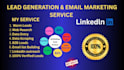provide verified warm leads from email and linkedin outreach
