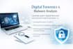 perform digital forensics and malware analysis