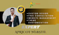 build and develop professional  wild apricot website