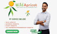 design a wild apricot website wix membership website event management website