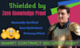 audit smart contracts with zkps for security, performance in solidity rust