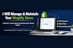 provide shopify store maintenance, management and bug fixes