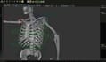articulate 3d skeleton rigging,52 arkit, live3d,advance body morph,rokoko,ik fk