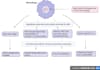 help you understand complex science topics easily