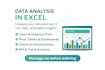 create professional excel spreadsheets and dashboards analyzing any data