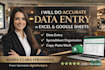 do accurate data entry, web research and exel data typing