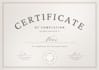 design college transcript, university, and high school transcripts