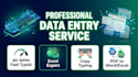 provide fast and reliable data entry and microsoft excel services