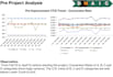 professionally do data analysis and analytics and PPT