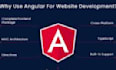 build dotnet core angular web applications