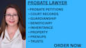 draft professional court ready legal documents