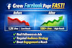 run facebook page growth ads to increase followers