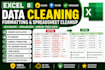 do excel data cleaning formatting and spreadsheet cleanup