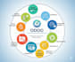 customize, develop and automate your odoo erp
