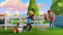 create 3d animation video, character animation, cartoon animation disney pixar