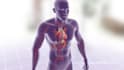 create 3d medical animation