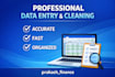 provide reliable data entry and excel formatting