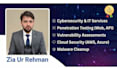do cyber security auditing and pentest
