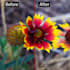 professionally enhance and sharpen your photos