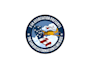 create professional and specially aviation logo design