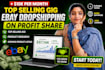 do ebay dropshipping on profit share
